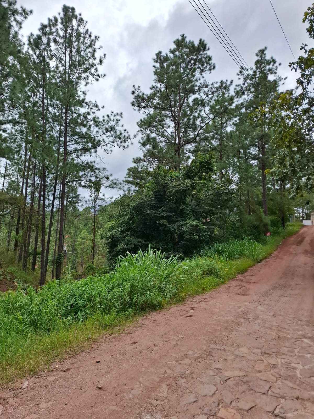 TATUMBLA, FRANCISCO MORAZÁN